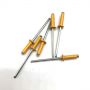 RAL1034 Yellow color painted aluminum steel blind rivet