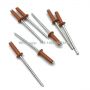 RAL8023 Color painted aluminum steel blind rivets
