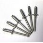 All Stainless Steel Blind Rivet 