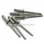 Rivets Stainless Steel
