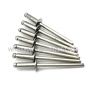 Rivets Stainless Steel
